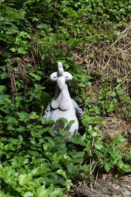 Merscheider Muehle Mitten Im Hunsrueck Morbach Exteriér fotografie