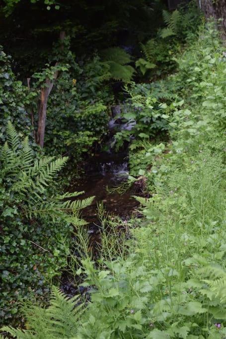 Merscheider Muehle Mitten Im Hunsrueck Morbach Exteriér fotografie